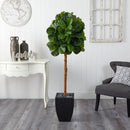 64” Fiddle Leaf Artificial Tree in Black Planter (Real Touch)