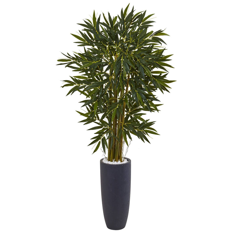 5.5’ Bamboo Tree in Gray Cylinder Planter