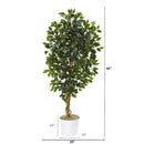 65” Ficus Artificial Tree in White Tin Planter