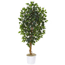 65” Ficus Artificial Tree in White Tin Planter
