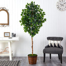 6.5’ Ficus Artificial tree in Wicker Planter