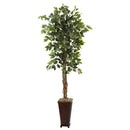 6.5’ Ficus w/Decorative Planter