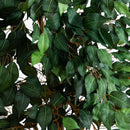 6.5’ Ficus w/Decorative Planter