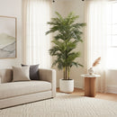 6.5' Golden Cane Artificial Palm Tree by Nearly Natural