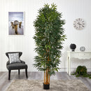 6.5’ Phoenix Palm Artificial tree with Natural Trunk