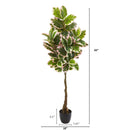 65” Variegated Rubber Leaf Artificial Tree (Real Touch)