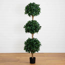 6.5’ Sweet Bay Triple Ball Topiary