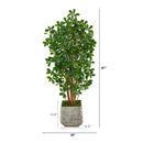 67” Black Olive Artificial Tree with 1365 Bendable Leaves in White Planter