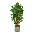 67” Black Olive Artificial Tree with 1365 Bendable Leaves in White Planter