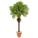 68” Robellini Palm Artificial Tree in Terra Cotta Planter