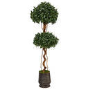 68” Sweet Bay Double Ball Topiary Artificial Tree in Ribbed Metal Planter