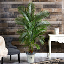 69” Areca Palm Artificial Tree in Decorative white Planter