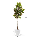 69” Variegated Rubber Leaf Artificial Tree in White Planter (Real Touch)