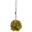 7” & 5” Mixed Succulent Spheres (Set of 2)