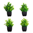 7” Artificial Assorted Green Plant in Black Square Pot - Set of 4