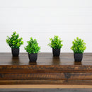 7” Artificial Assorted Green Plant in Black Square Pot - Set of 4