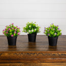 7" Artificial Daisy Plant in Black Pot - Set of 3