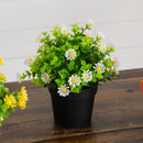 7" Artificial Daisy Plant in Black Pot - Set of 3