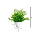 7” Artificial Fern in White Round Pot - Set of 3