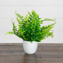 7” Artificial Fern in White Round Pot - Set of 3