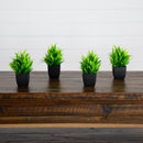 7” Artificial Grass Plant in Black Square Pot - Set of 4