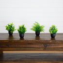 7” Artificial Mixed Botanical Plant in Black Square Pot - Set of 4