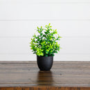 7” Artificial Mixed Botanical Plant in Black Square Pot - Set of 4