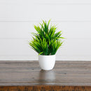 7” Artificial Mixed Evergreen Plant in White Round Pot - Set of 3