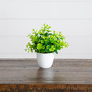 7” Artificial Mixed Evergreen Plant in White Round Pot - Set of 3