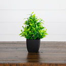 7” Artificial Mixed Topiary Plant in Black Square Pot - Set of 4