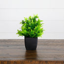 7” Artificial Mixed Topiary Plant in Black Square Pot - Set of 4