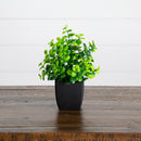 7” Artificial Mixed Topiary Plant in Black Square Pot - Set of 4