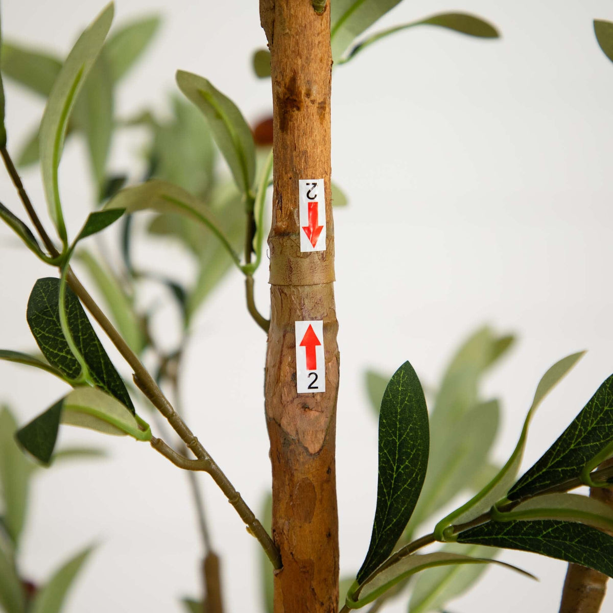 7' Artificial Olive Tree with Natural Trunk, photo 6 of 9