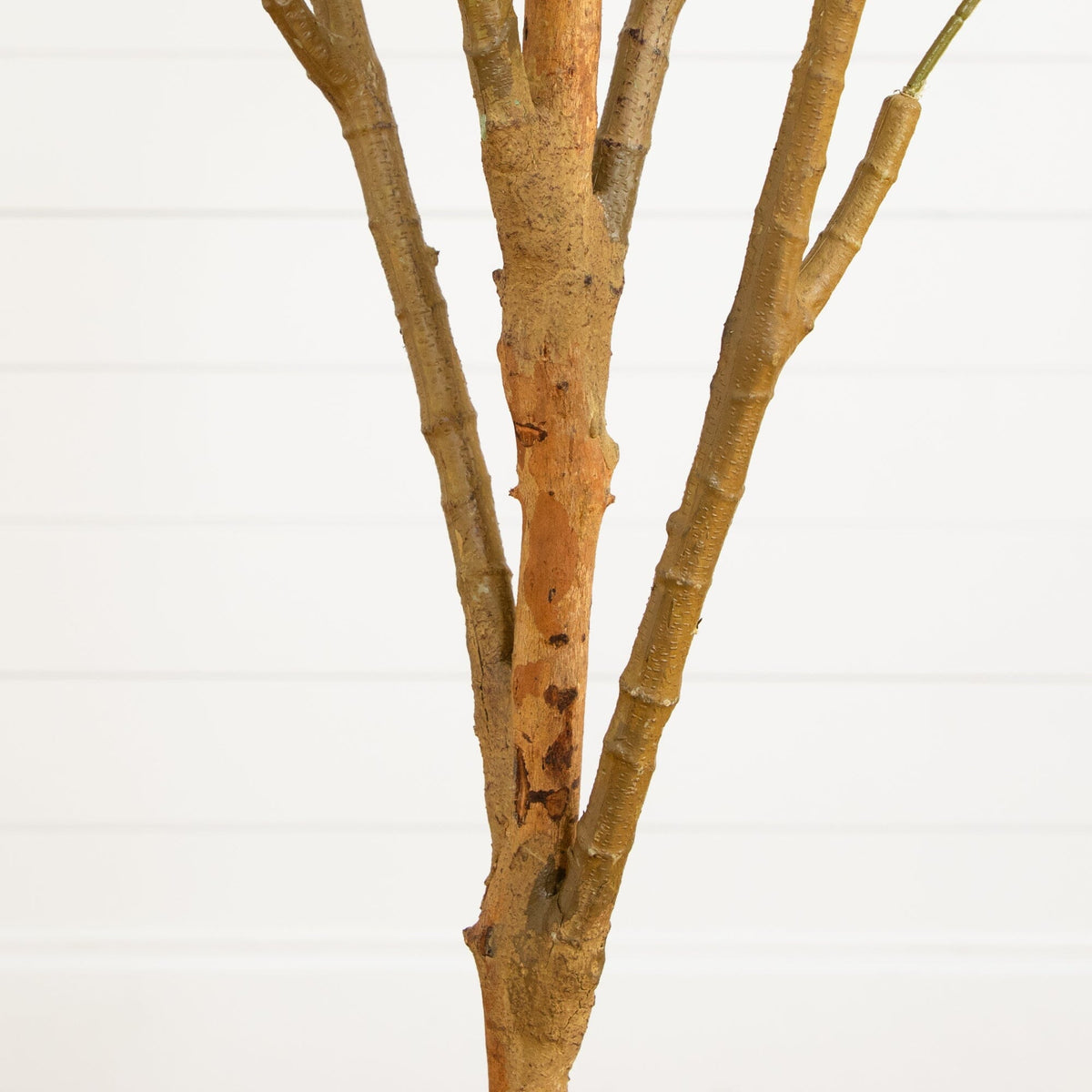 7' Artificial Olive Tree with Natural Trunk, photo 5 of 9