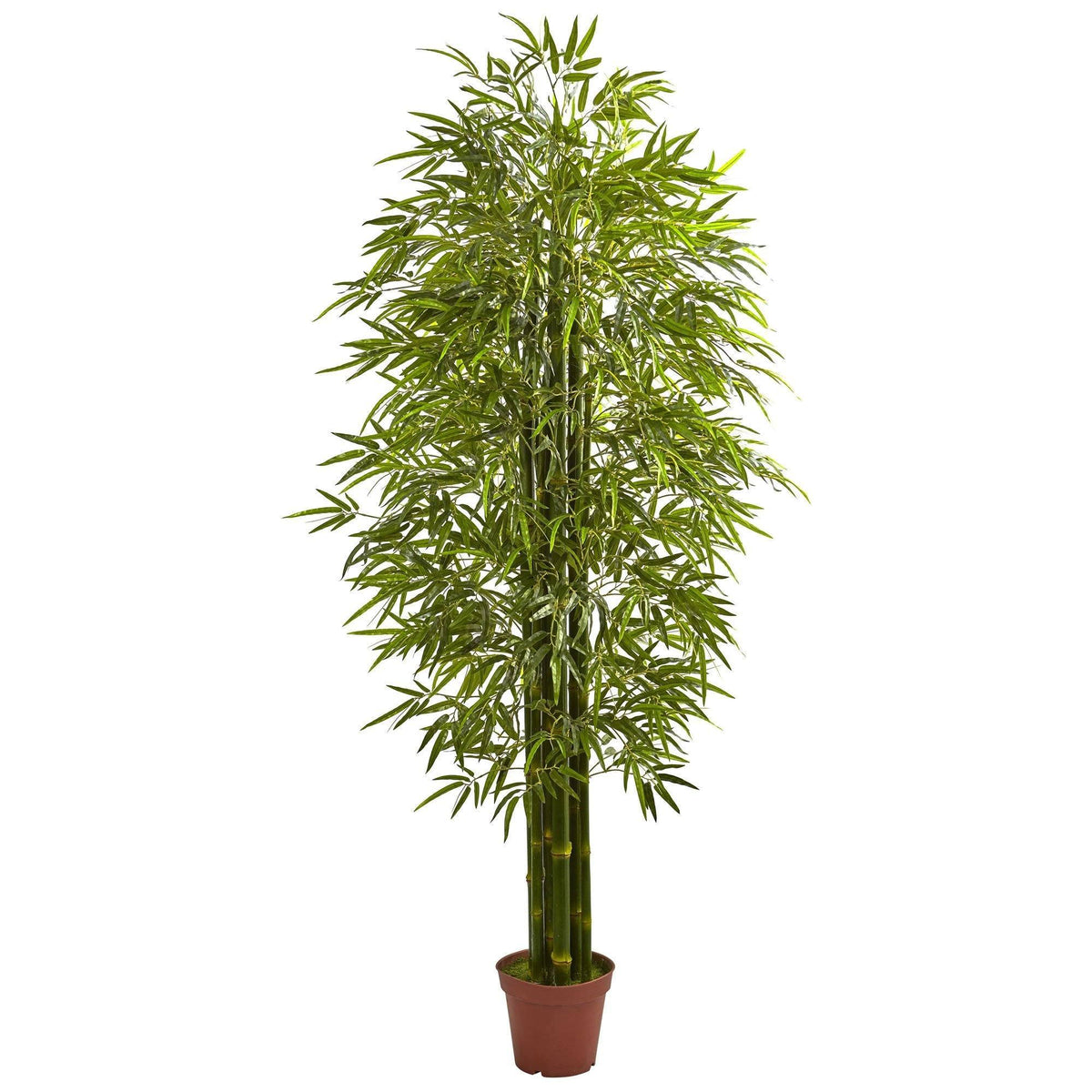 7' Bamboo Tree UV Resistant (Indoor/Outdoor), photo 4 of 4
