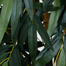 7' Biggy Style Bamboo Silk Tree