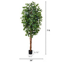 7' Ficus Silk Tree