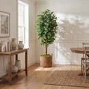 7' Ficus Silk Tree by Nearly Natural