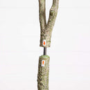 7-ft Artificial Maple Tree