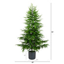 7' Artificial Real Touch Norfolk Island Pine Christmas Tree with Natural Look