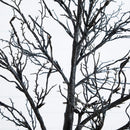 7' Pre-Lit Halloween Deluxe Black Twig Artificial Tree with 180 Orange & Purple LED Lights