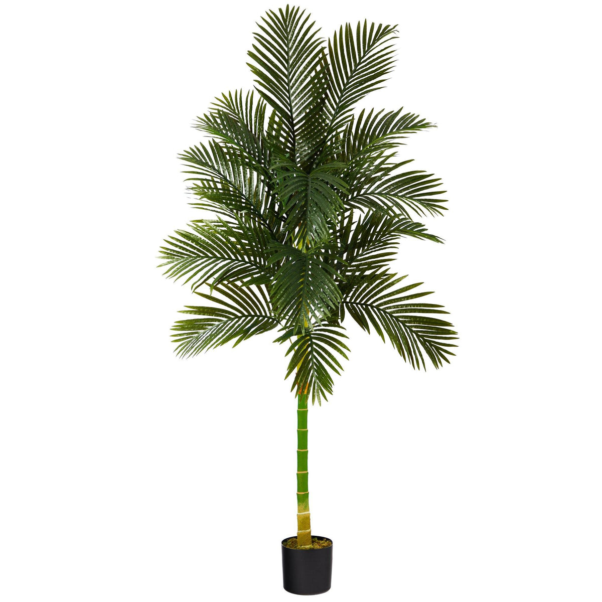7’ Single Stalk Golden Cane Artificial Palm Tree, photo 5 of 5