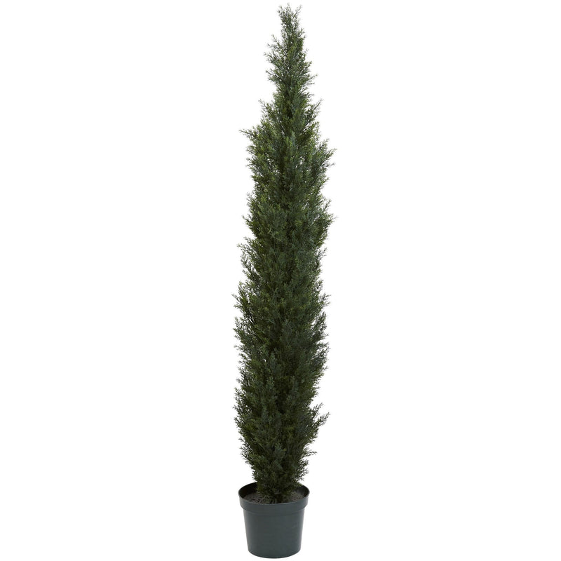 7' Mini Cedar Pine Tree (Indoor/Outdoor)