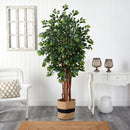 7’ Sakaki Artificial Tree in Handmade Natural Cotton Planter
