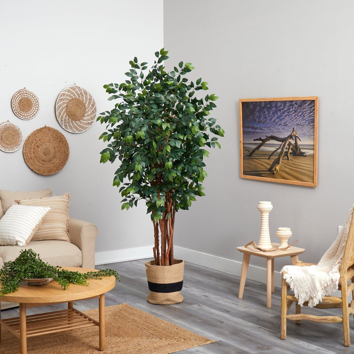 7’ Sakaki Artificial Tree in Handmade Natural Cotton Planter, photo 4 of 4