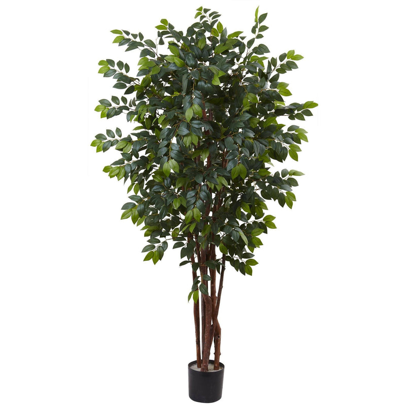 7’ Sakaki Silk Tree, photo 3 of 5