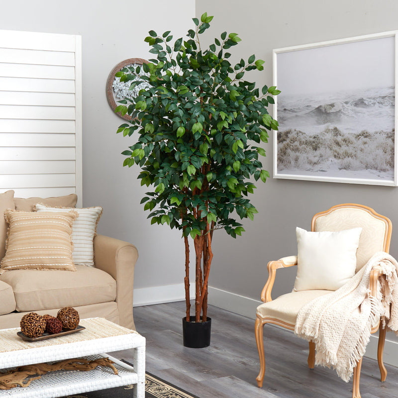 7’ Sakaki Silk Tree, photo 4 of 5
