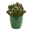 7" Sedum Succulent Artificial Plant in Green Planter (Set of 2)"