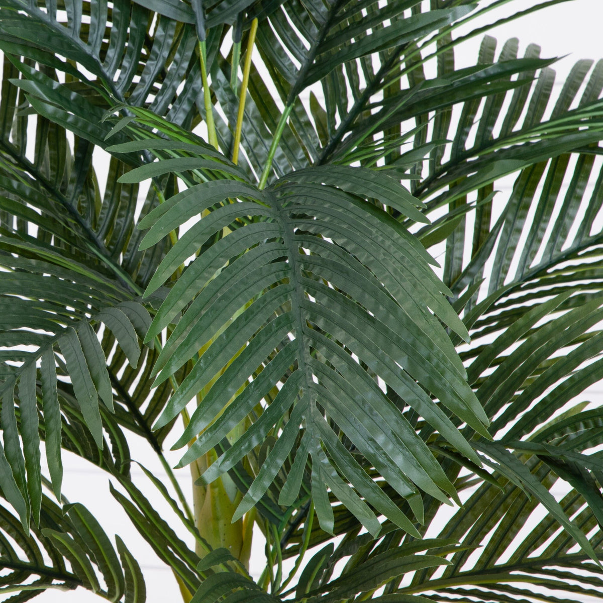 7’ Single Stalk Golden Cane Artificial Palm Tree, photo 2 of 5