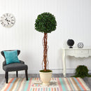 70” English Ivy Single Ball Artificial Topiary Tree in Decorative Urn UV Resistant (Indoor/Outdoor)